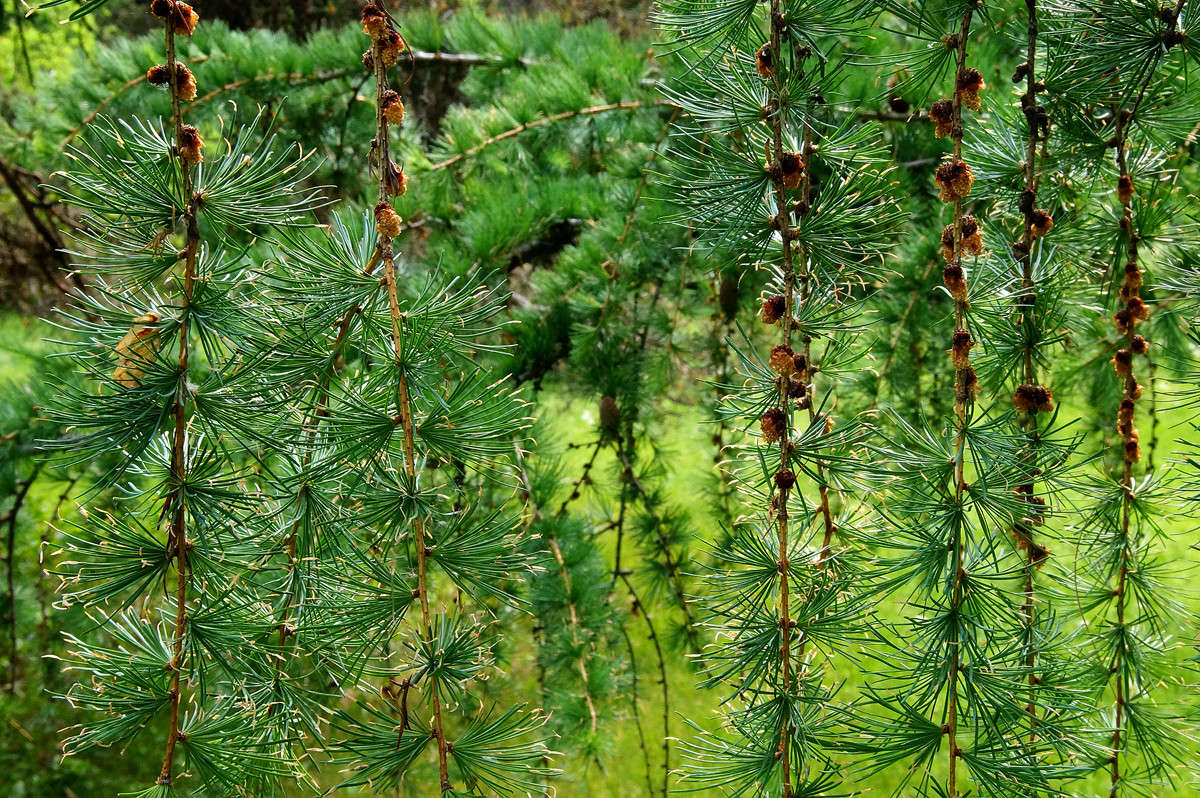 ���������� ����� �������  �� PhotoGeek.ru #������ ��� �������