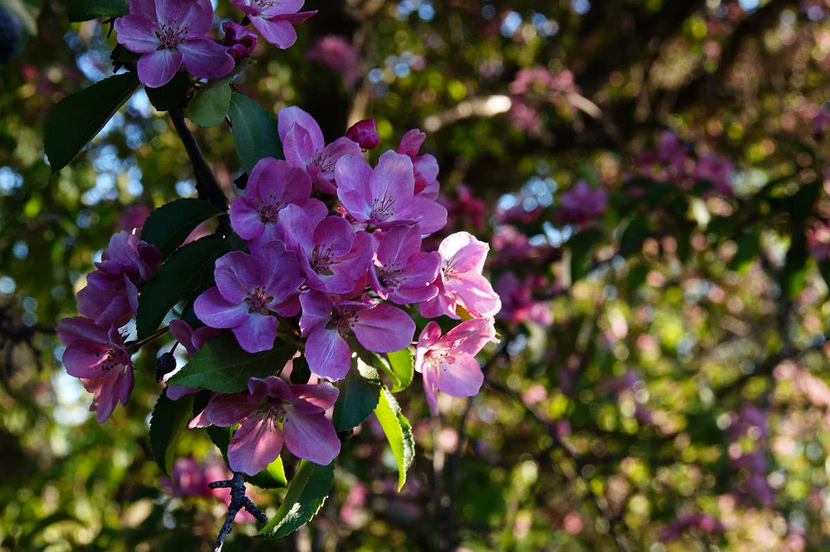 ���������� ����� �������  �� PhotoGeek.ru #������ ��� �������