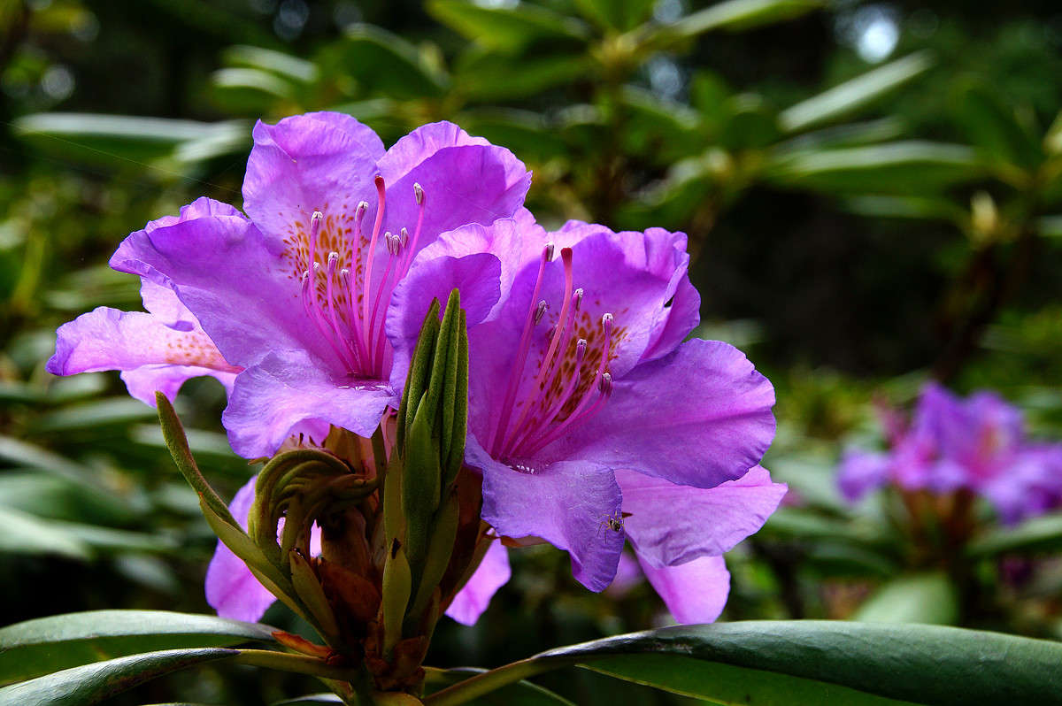 �������� ����� ����� �������  �� PhotoGeek.ru #������ ��� �������