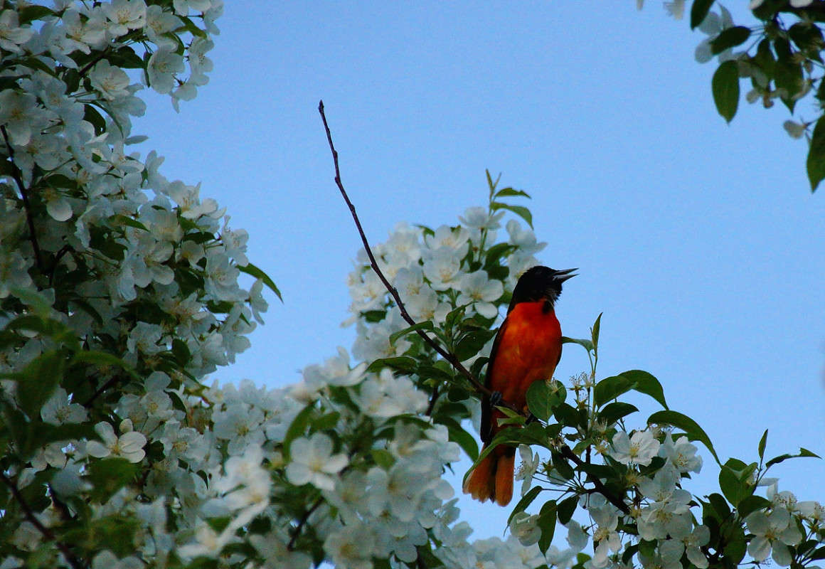 �������� ����� � ������ ����� �������  �� PhotoGeek.ru #�������� ��� #������ ��� �������