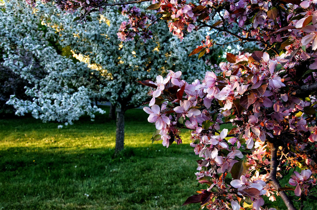 ����������� ����� �������  �� PhotoGeek.ru #������ ��� �������