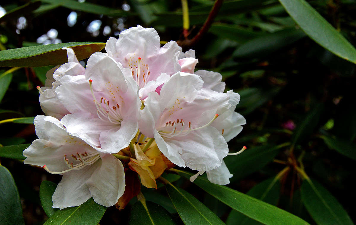 ���������� �������� ����� �������  �� PhotoGeek.ru #������ ��� �������