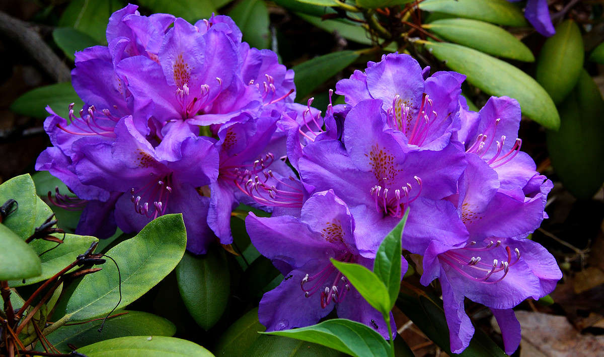 ����� �� ������ ����� �������  �� PhotoGeek.ru #������ ��� �������