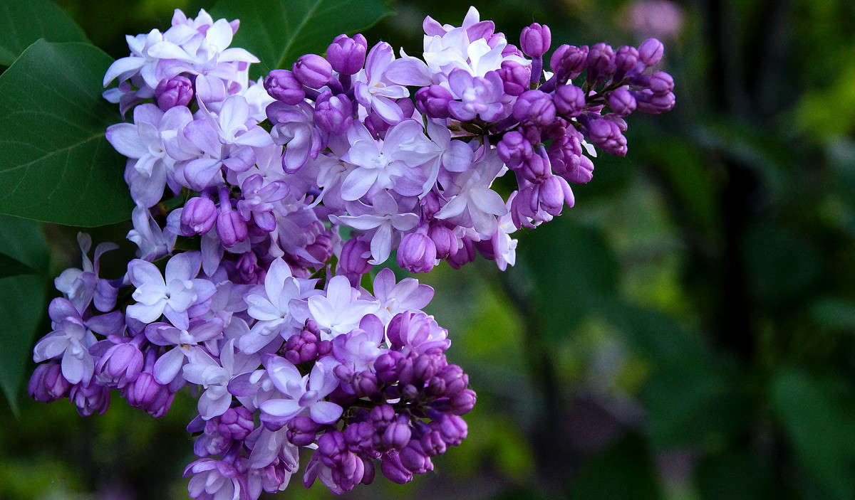 ����� ����������� ����� �������  �� PhotoGeek.ru #������ ��� �������