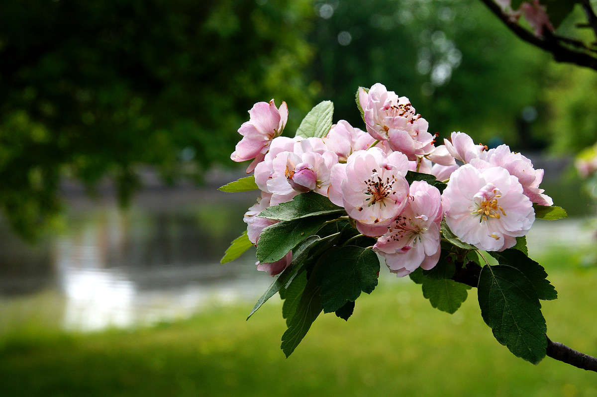 ������� ������ ����� �������  �� PhotoGeek.ru #������ ��� �������