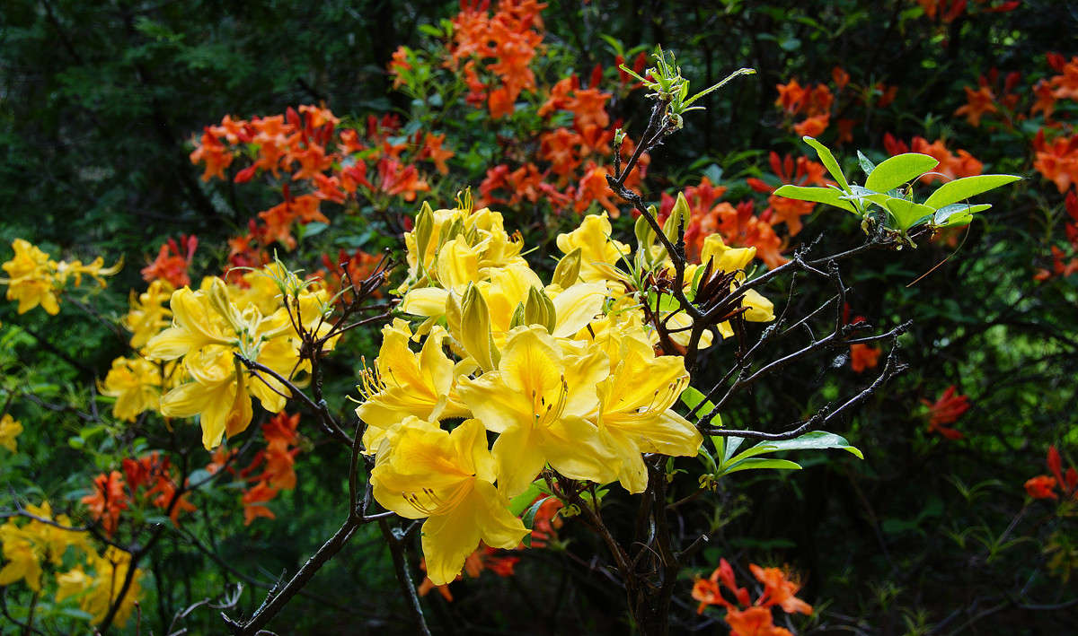 ������������� ����� �������  �� PhotoGeek.ru #������ ��� �������