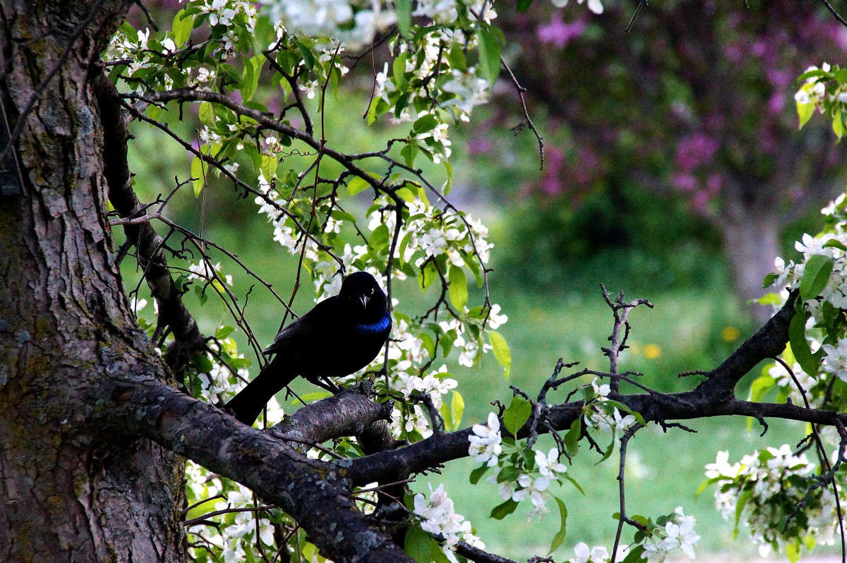 ������� ���������� ����� �������  �� PhotoGeek.ru #�������� ���