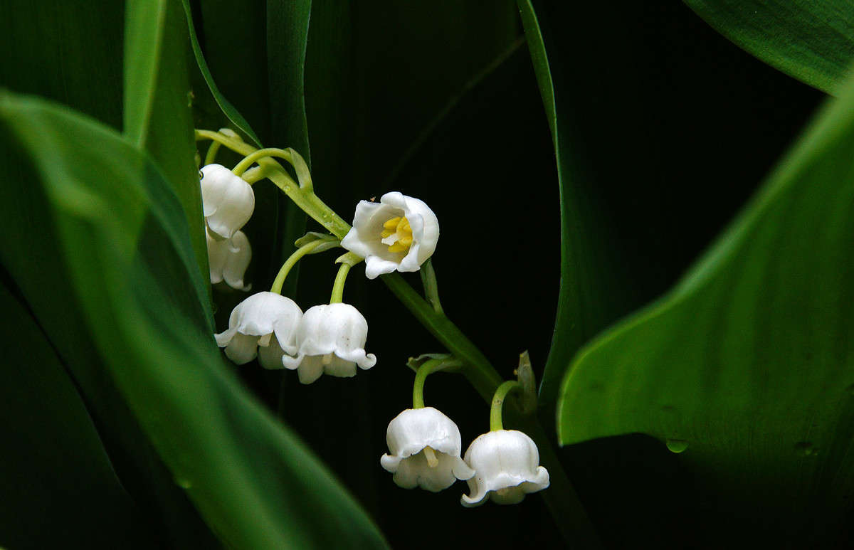 ���������� �������� ����� �������  �� PhotoGeek.ru #������ ��� �������