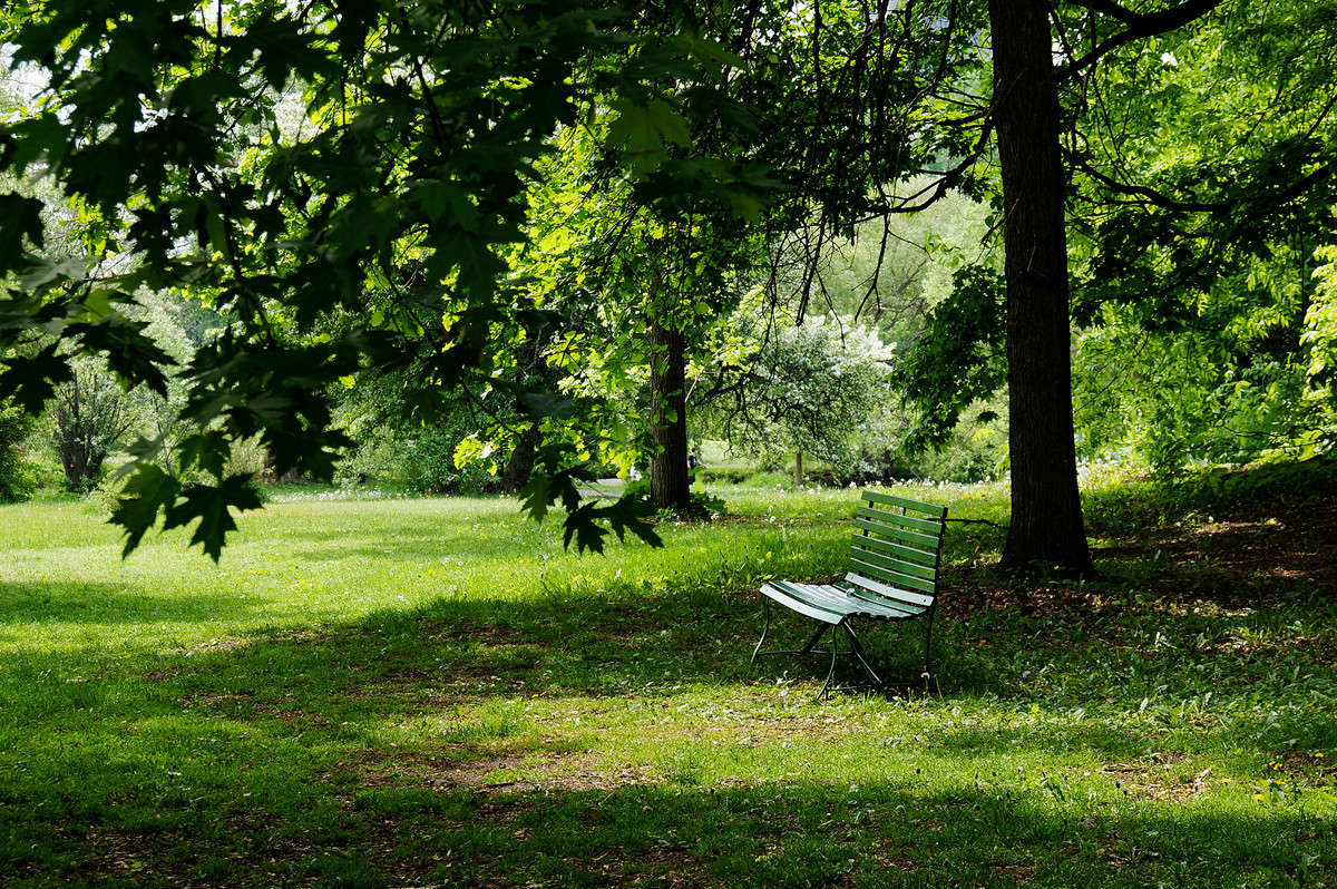 � ������ ����� ����� �������  �� PhotoGeek.ru #������ ��� �������