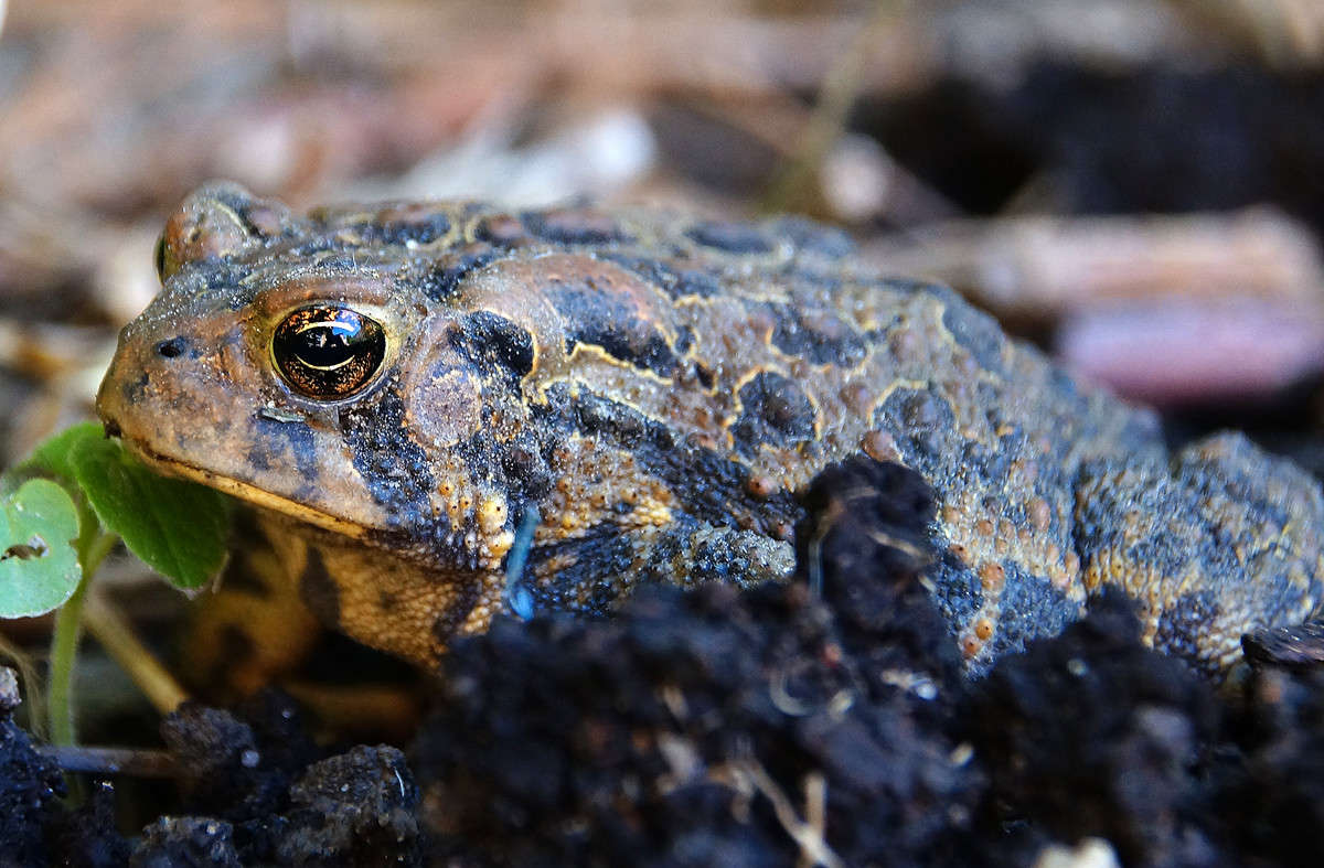 ���������� ����� �������  �� PhotoGeek.ru #�������� ���