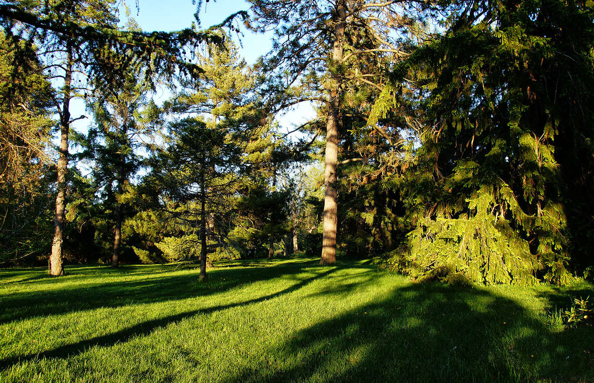 � ������ �������� ����� �������  �� PhotoGeek.ru #������ ��� �������