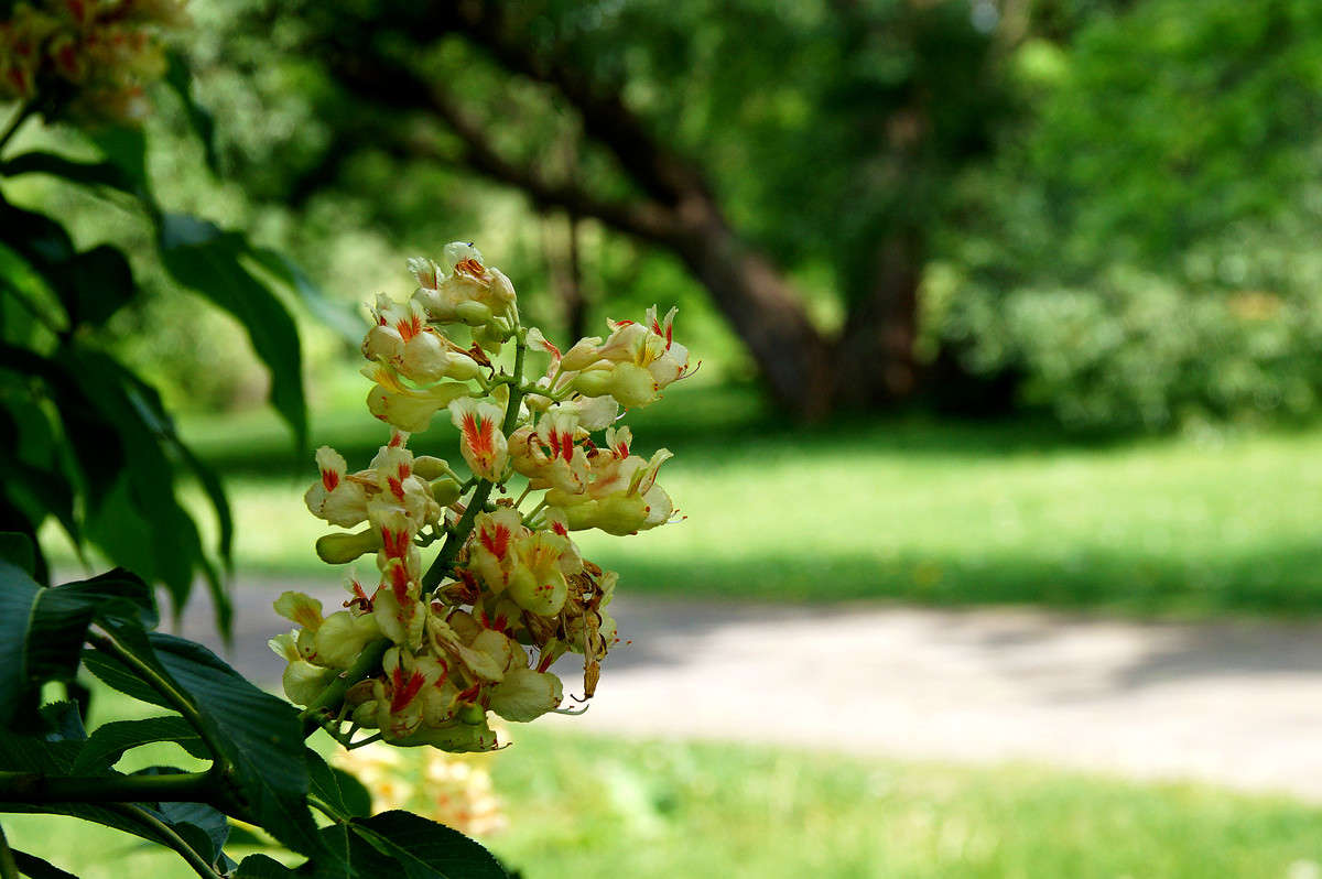 ����� �� ������ ����� �������  �� PhotoGeek.ru #������ ��� �������