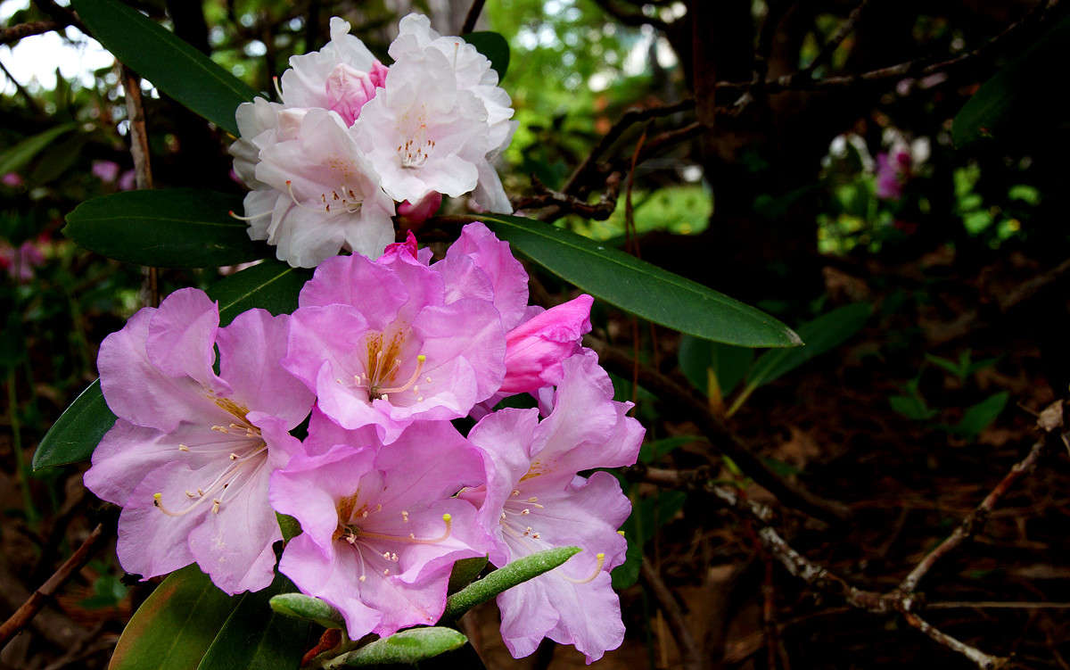 ��������� ����������� ����� �������  �� PhotoGeek.ru #������ ��� �������