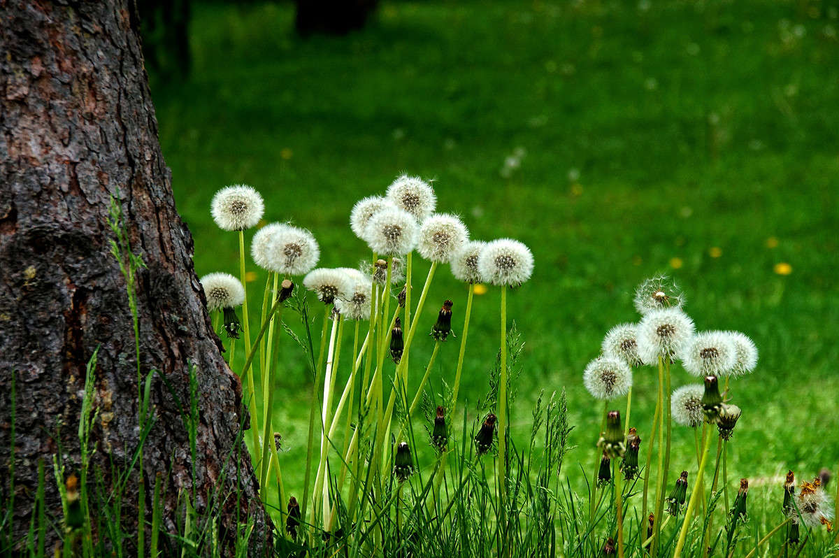 � ������ � ��� ����� �������  �� PhotoGeek.ru #������ ��� �������