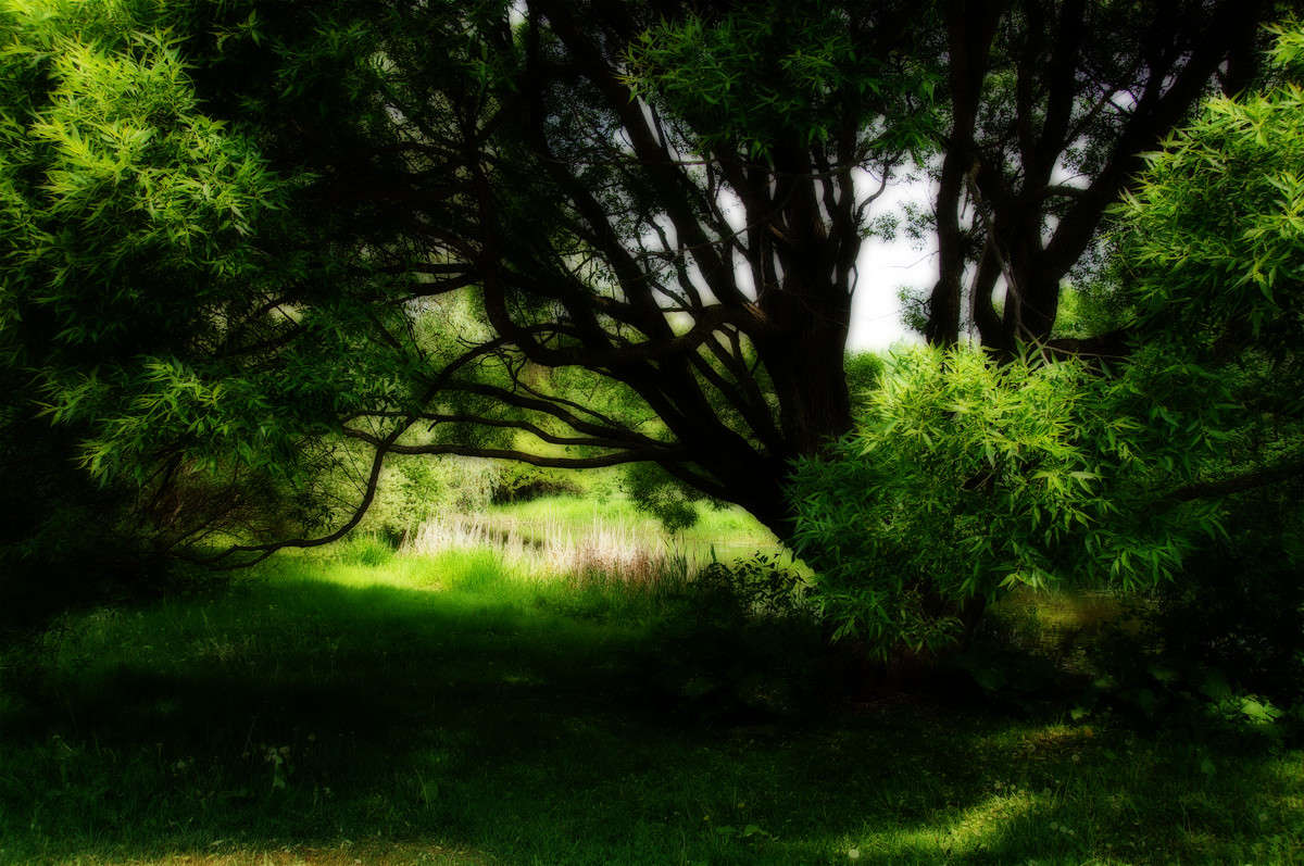 ������ ������� ����� �������  �� PhotoGeek.ru #������ ��� �������