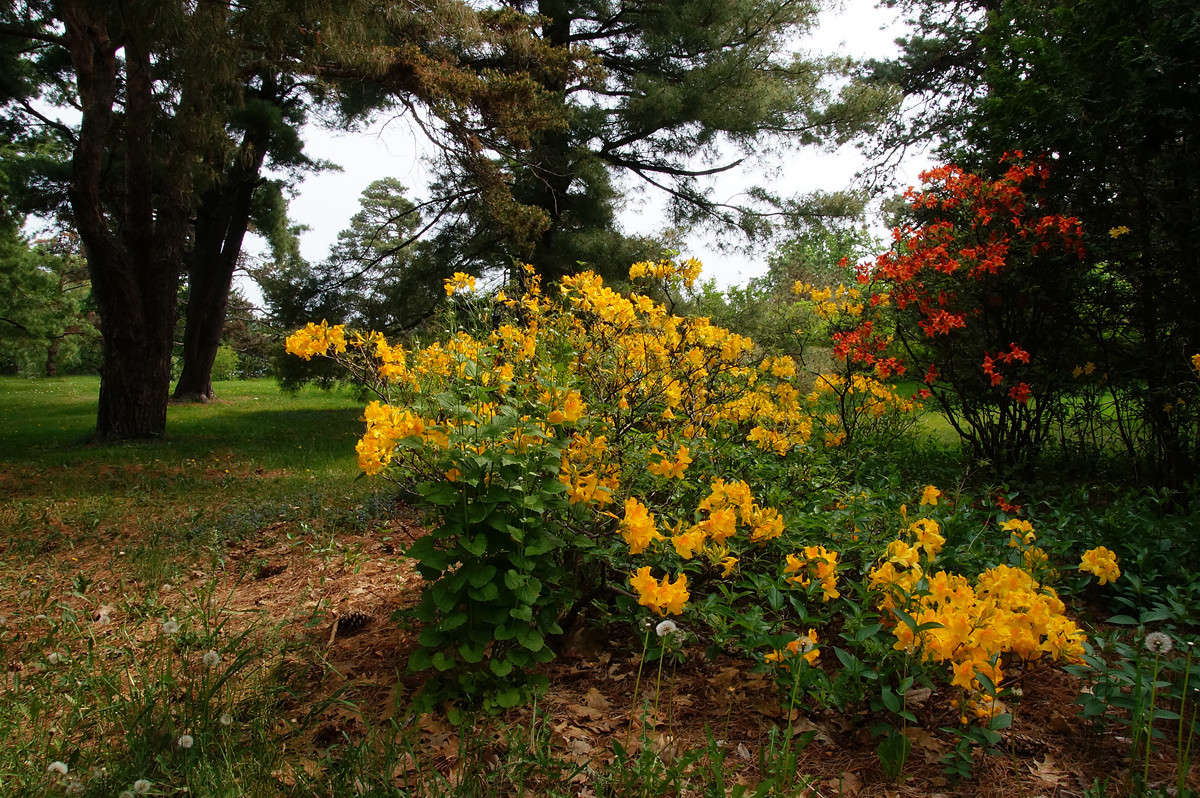 ϸ����� ������� ����� �������  �� PhotoGeek.ru #������ ��� �������