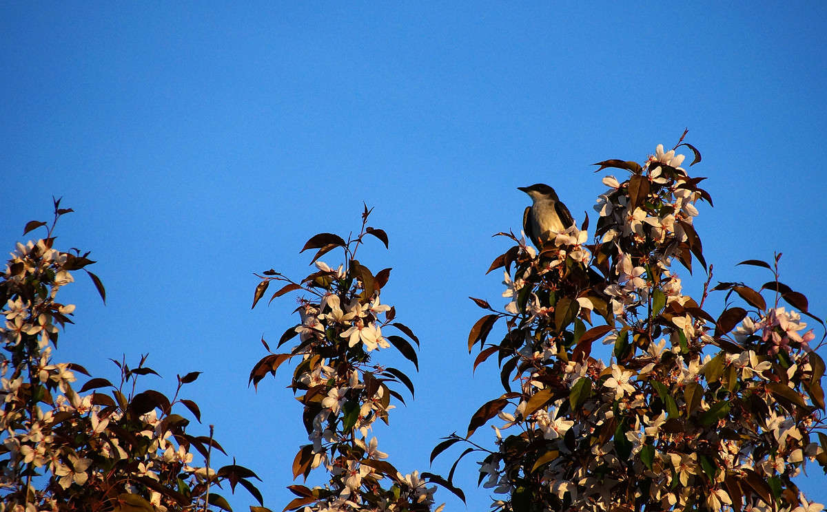 ����� �������� �������� ����� �������  �� PhotoGeek.ru #�������� ���