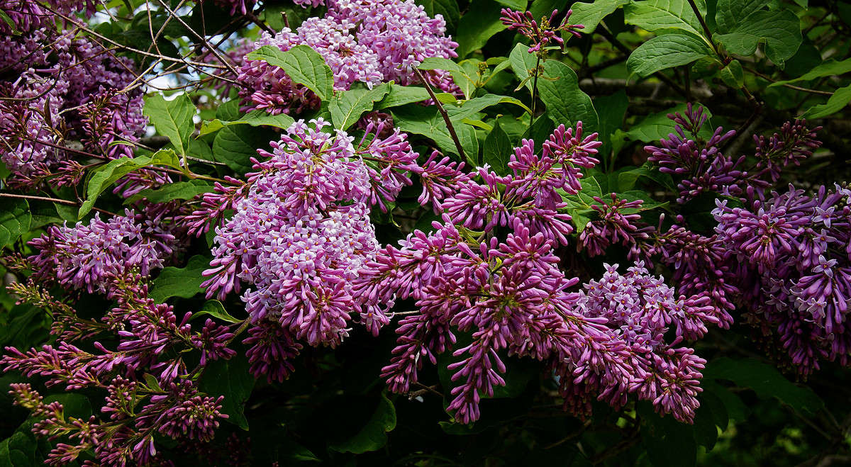 ��� ��� ���������� ����� �������  �� PhotoGeek.ru #������ ��� �������