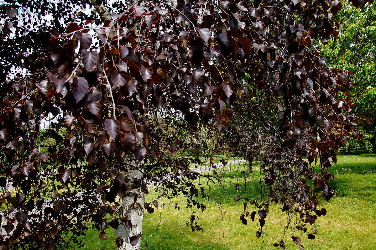 ���������� ����� �������  �� PhotoGeek.ru #������ ��� �������