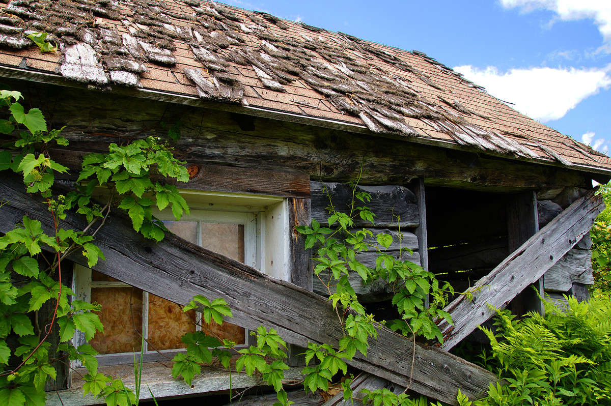 ������ ��� ������ ����� �������  �� PhotoGeek.ru #�����