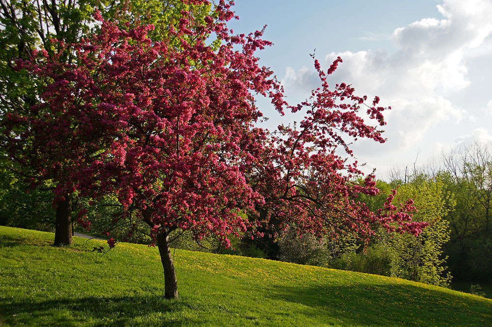 ����� ������ ������� ����� �������  �� PhotoGeek.ru #������ ��� �������