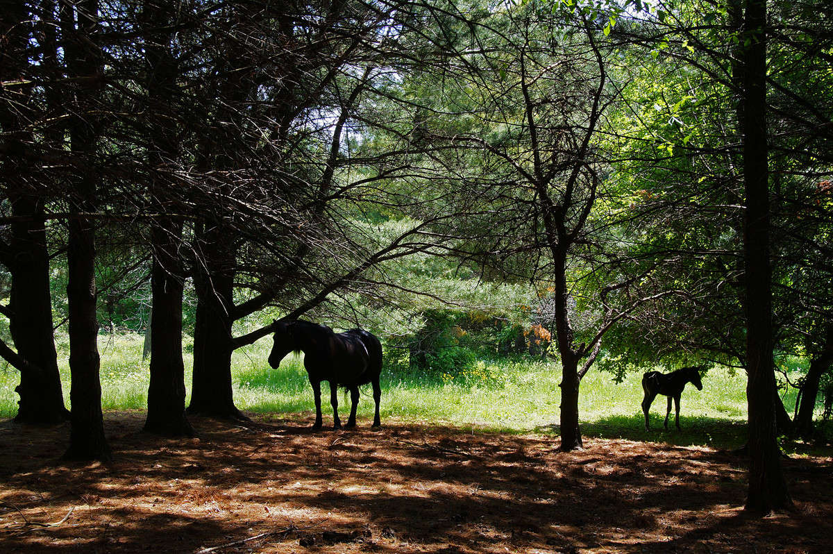 ��������� �� ������ ����� �������  �� PhotoGeek.ru #�������� ���