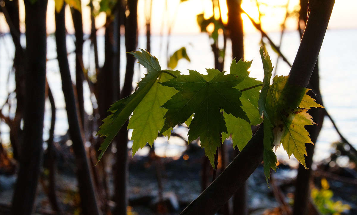 ������� ����� �������  �� PhotoGeek.ru #������ ��� �������