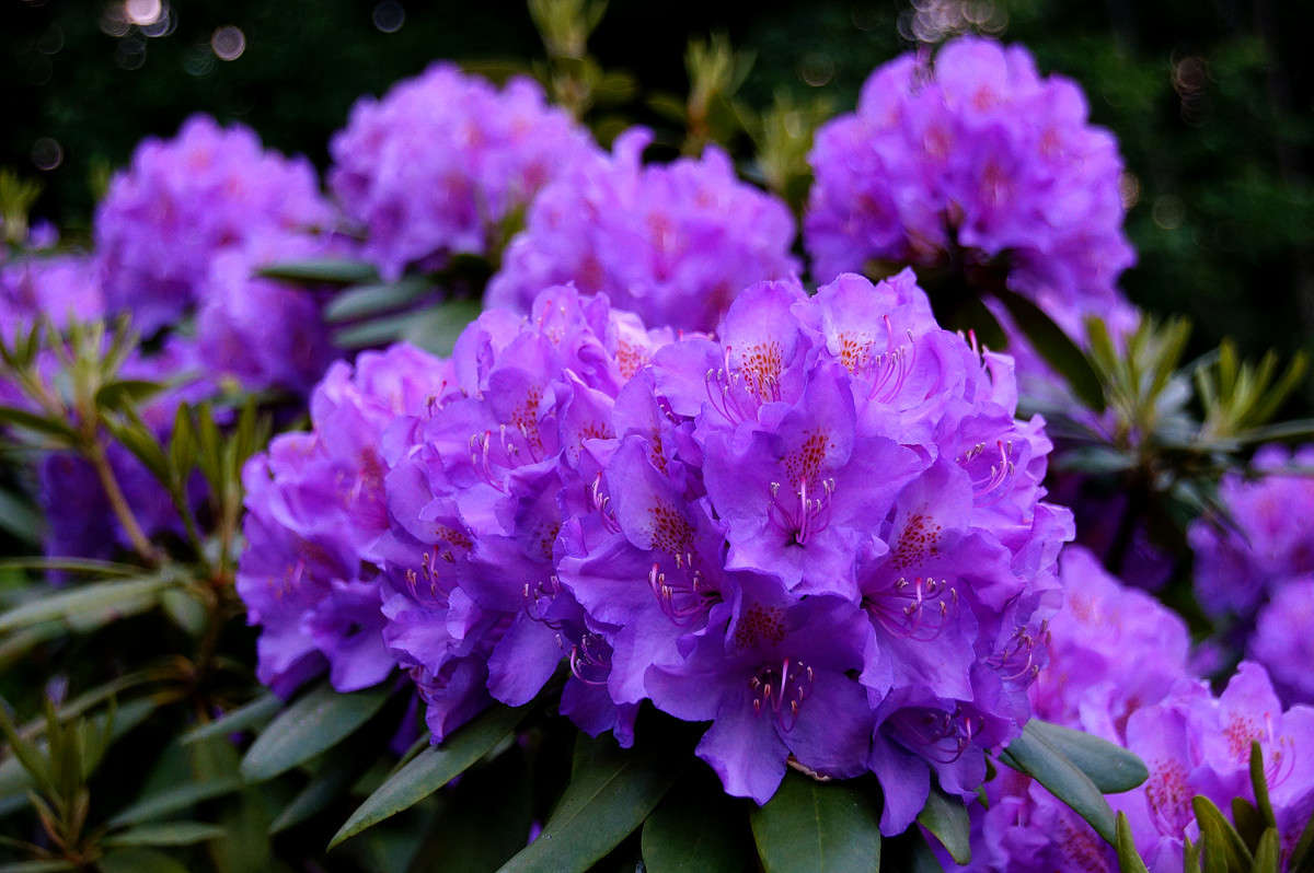 �������� ����� �������  �� PhotoGeek.ru #������ ��� �������