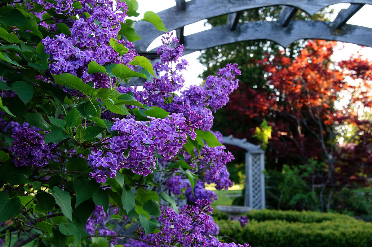 ������� ����� �������  �� PhotoGeek.ru #������ ��� �������