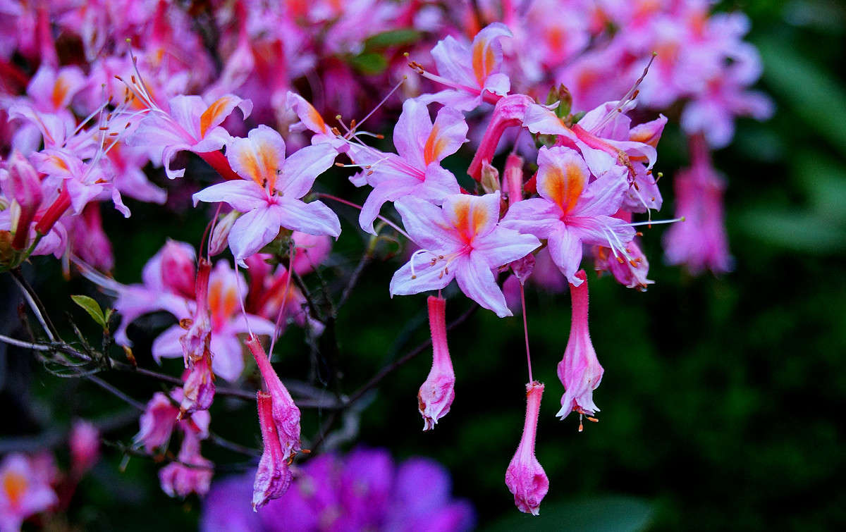 ������ ������� ����� �������  �� PhotoGeek.ru #������ ��� �������