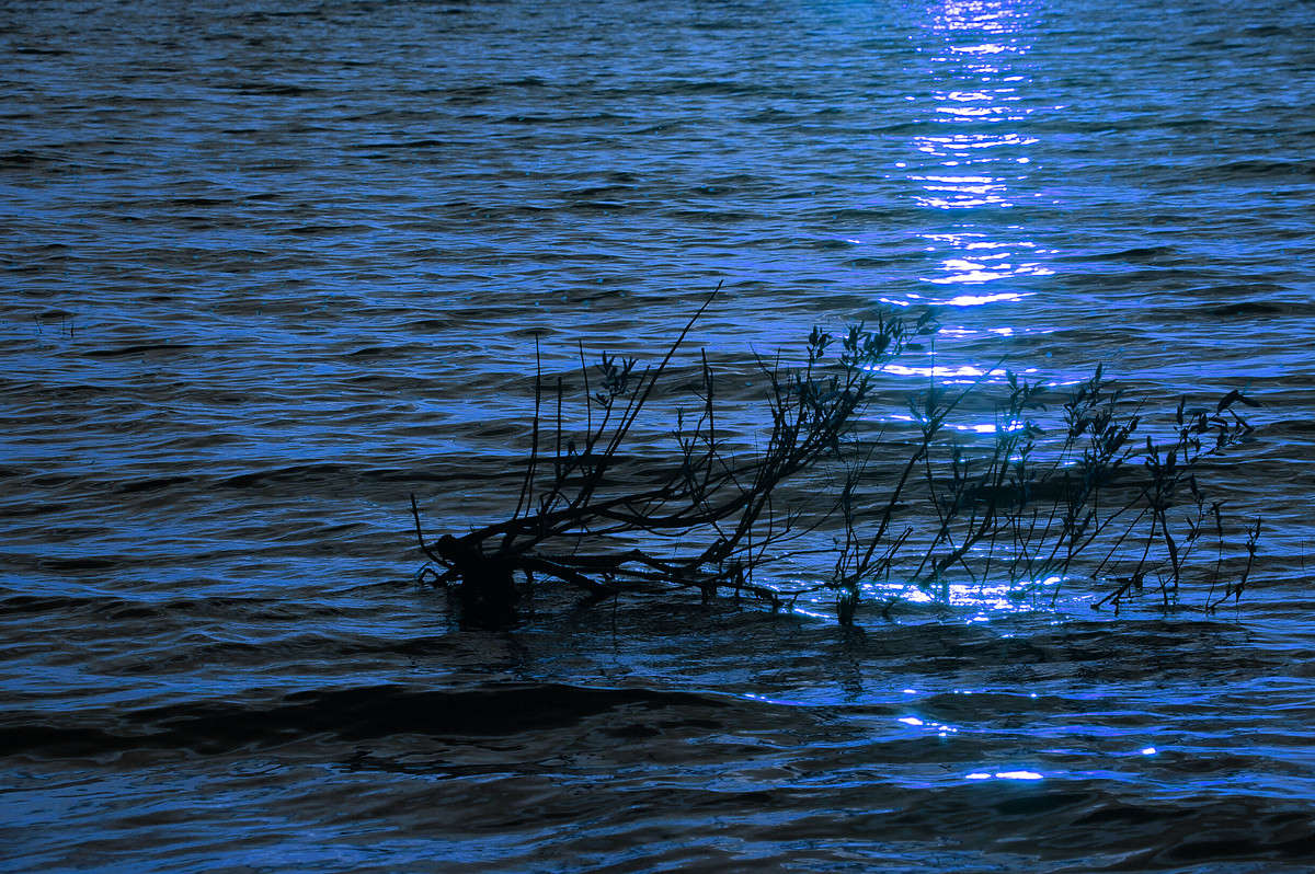 ��� ������ ���� ����� �������  �� PhotoGeek.ru #������ ��� �������