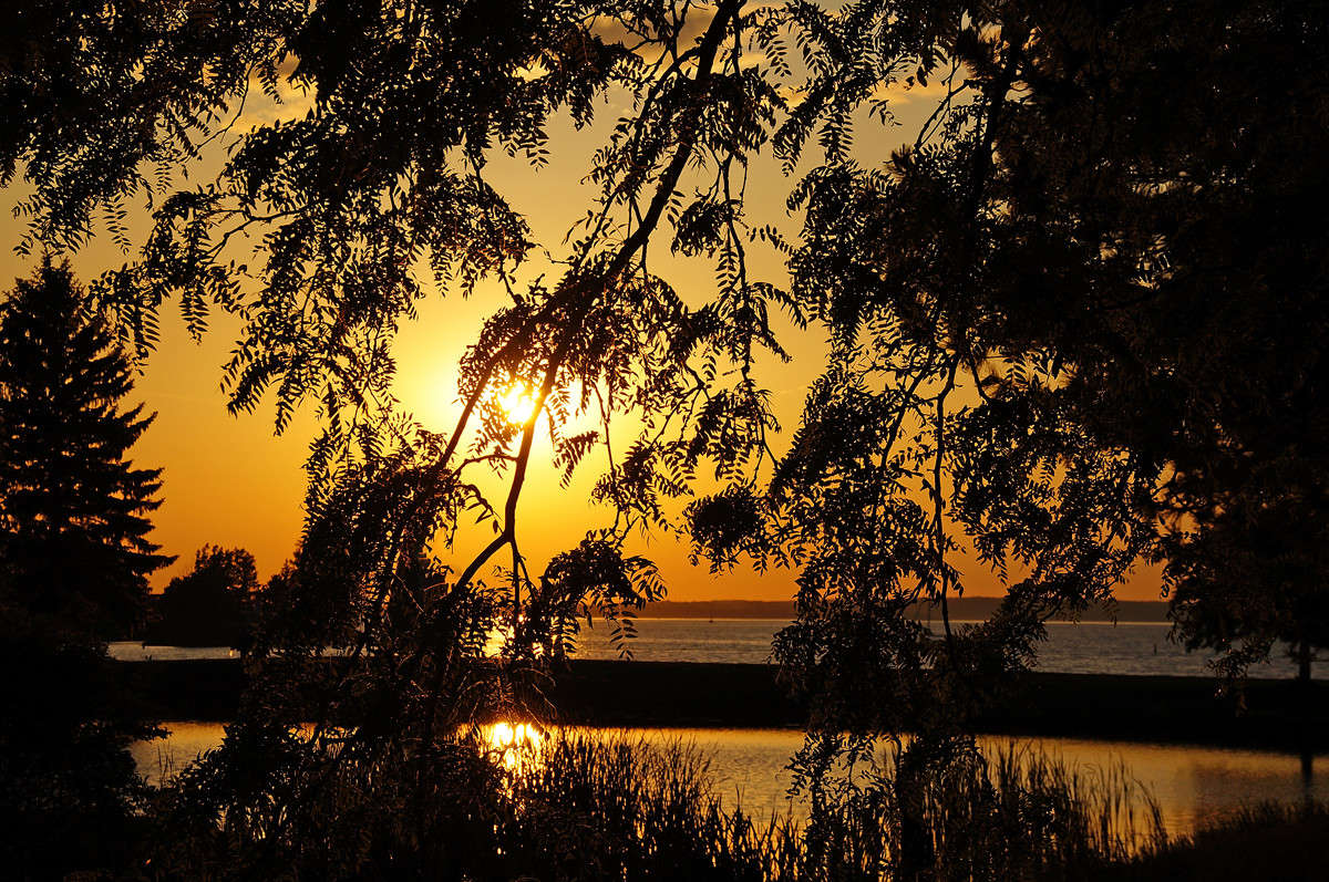 ������ ���� ����� �������  �� PhotoGeek.ru #������ ��� �������