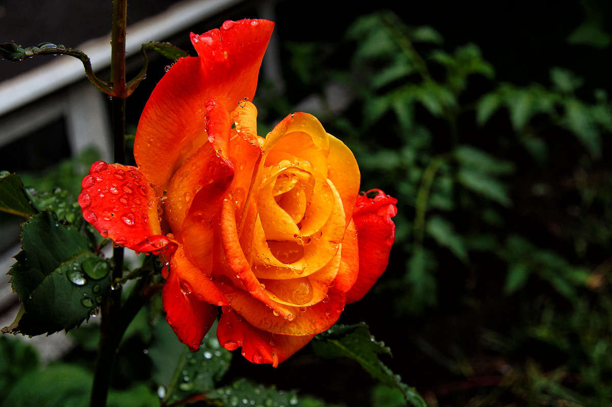 ��������� ����� �������  �� PhotoGeek.ru #����� #������ ��� �������