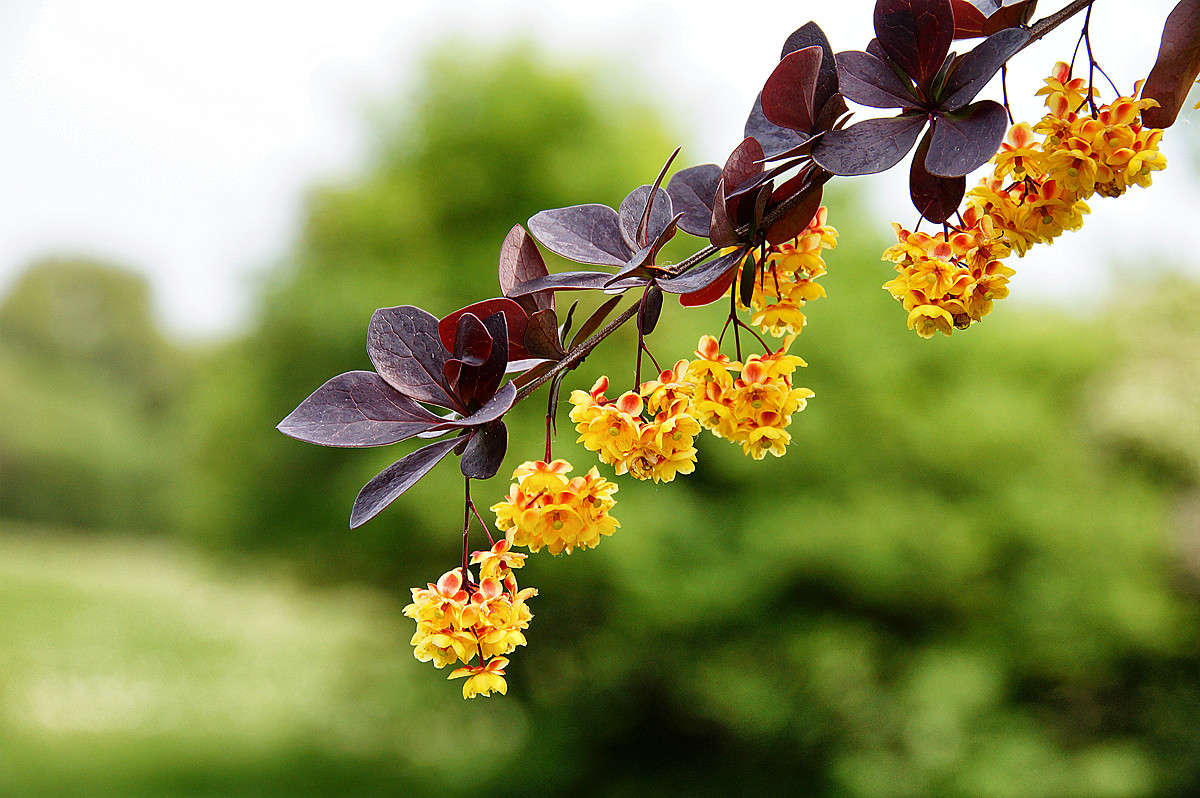 ������ ����� �������  �� PhotoGeek.ru #������ ��� �������