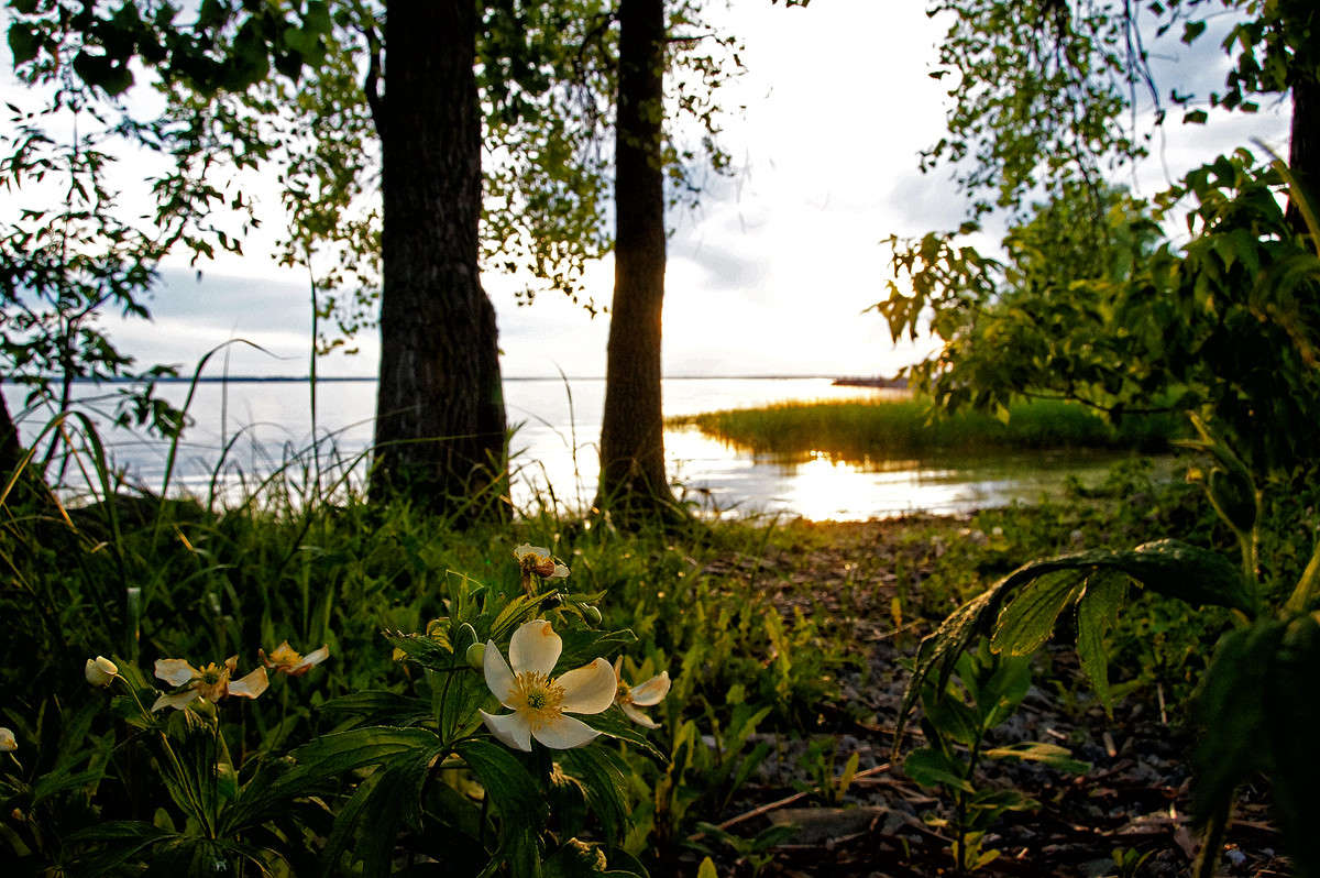 ��������� ��������� ����� �������  �� PhotoGeek.ru #������ ��� �������