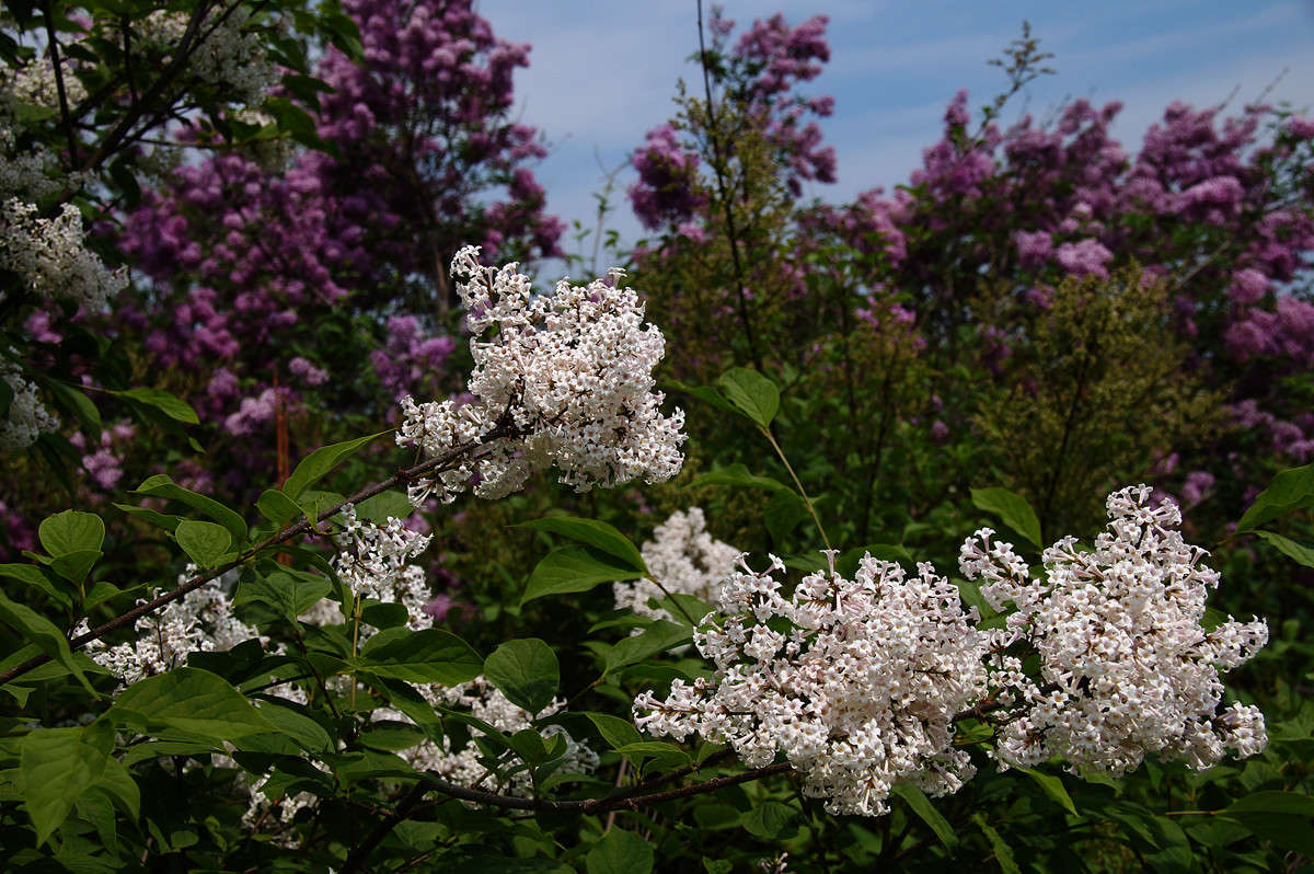 ����� ���������� ����� �������  �� PhotoGeek.ru #������ ��� �������