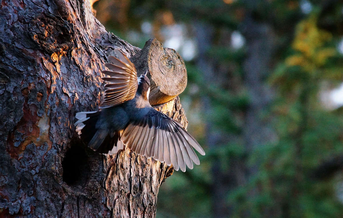 ���� ������ ���� ����� �������  �� PhotoGeek.ru #�������� ���