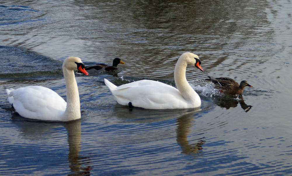 ������������ ���� ������ ����� �������  �� PhotoGeek.ru #�������� ���