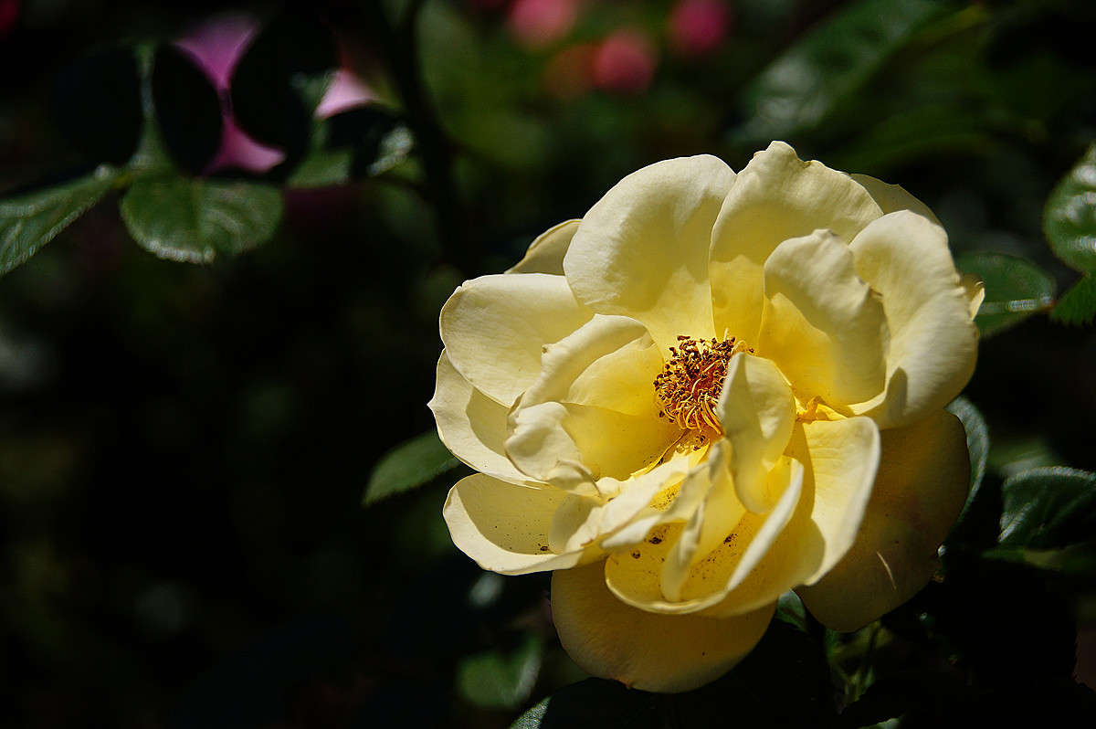 ������� ����� �������  �� PhotoGeek.ru #������ ��� �������