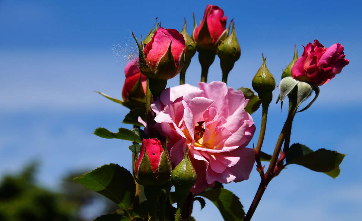 ���� ����� �������  �� PhotoGeek.ru #������ ��� �������