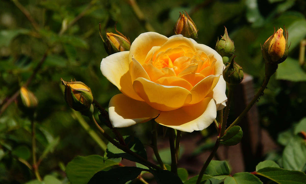 ���������� ����� �������  �� PhotoGeek.ru #������ ��� �������