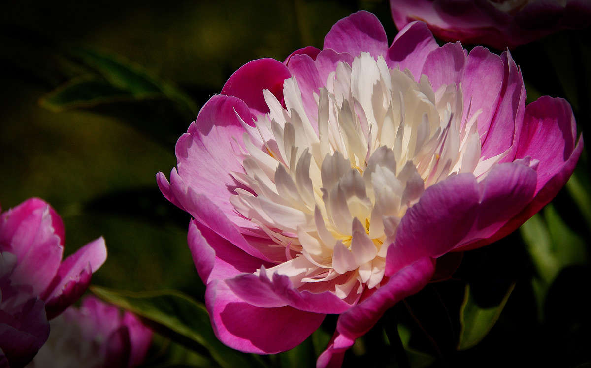 ������� ����� ����� �������  �� PhotoGeek.ru #������ ��� �������