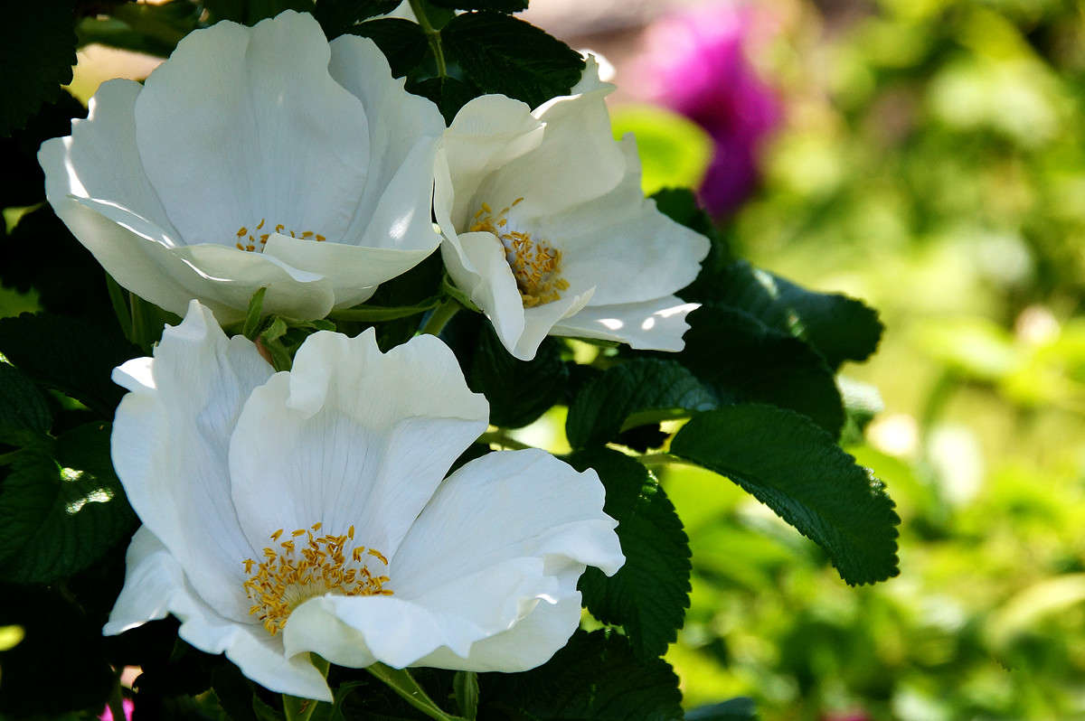 � ���� ���������� ����� �������  �� PhotoGeek.ru #������ ��� �������