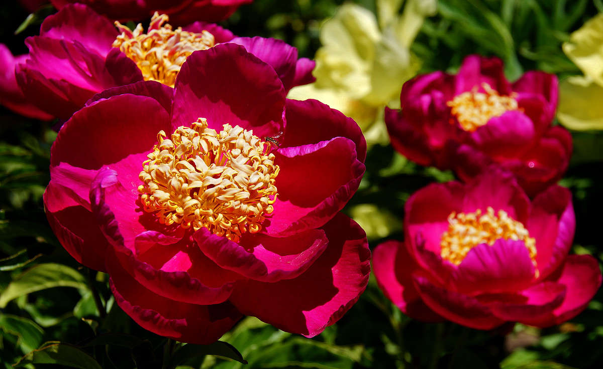 ���������� ����� ����� �������  �� PhotoGeek.ru #������ ��� �������