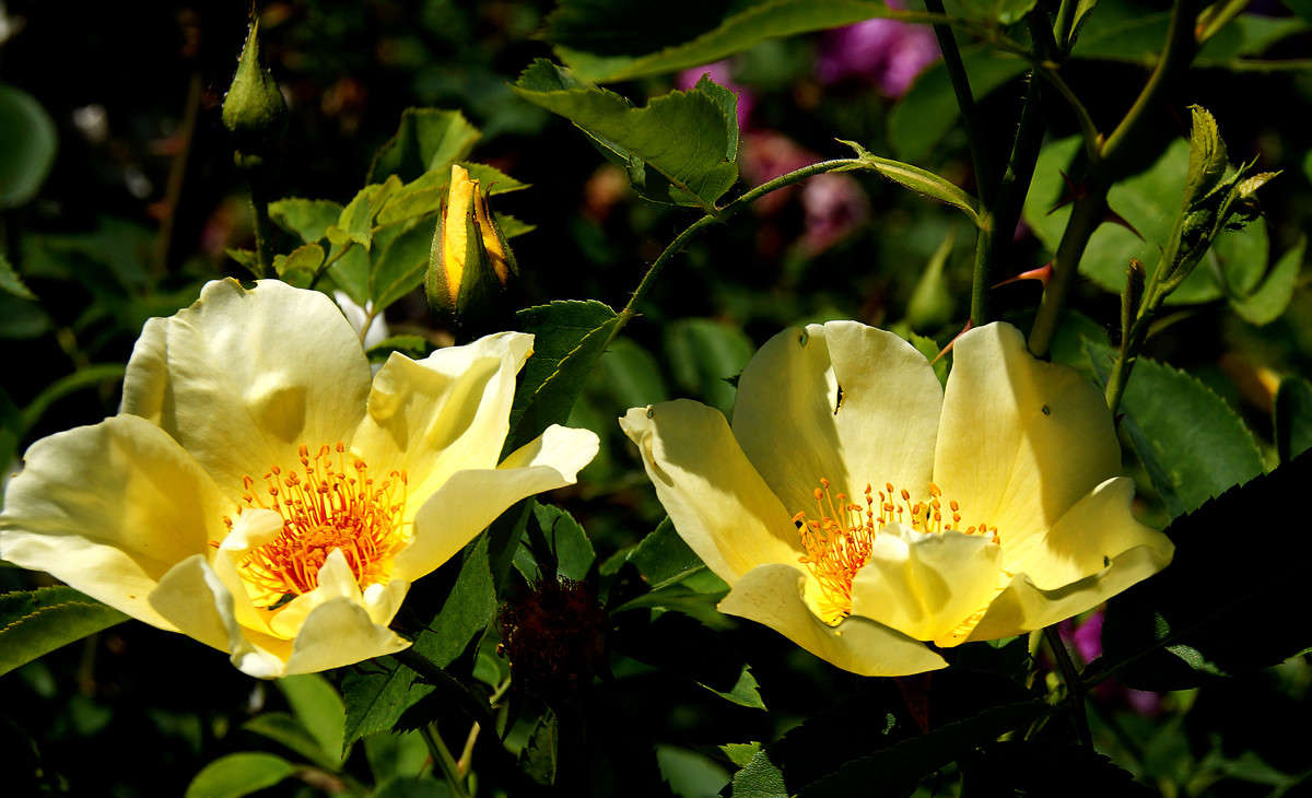 Ƹ���� ����� ����� � ������� ����� �������  �� PhotoGeek.ru #������ ��� �������