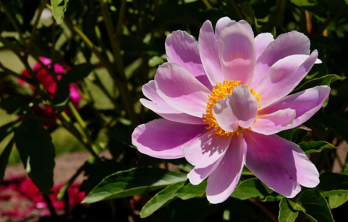 ����� ������ ������ ����� �������  �� PhotoGeek.ru #������ ��� �������