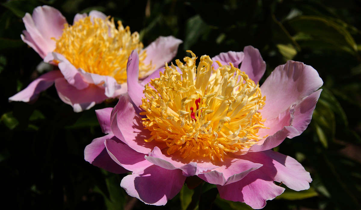 ��������� ������������ ����� �������  �� PhotoGeek.ru #������ ��� �������