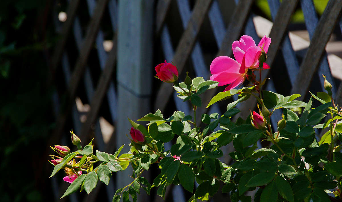 � �������� ������� ����� �������  �� PhotoGeek.ru #�����
