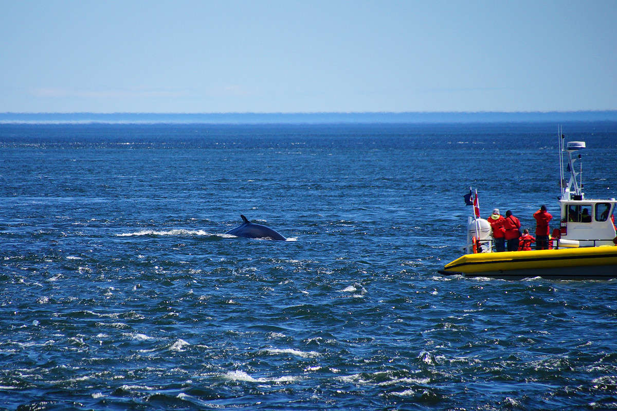 ��� ���� ��������? ����� �������  �� PhotoGeek.ru #�������� ���