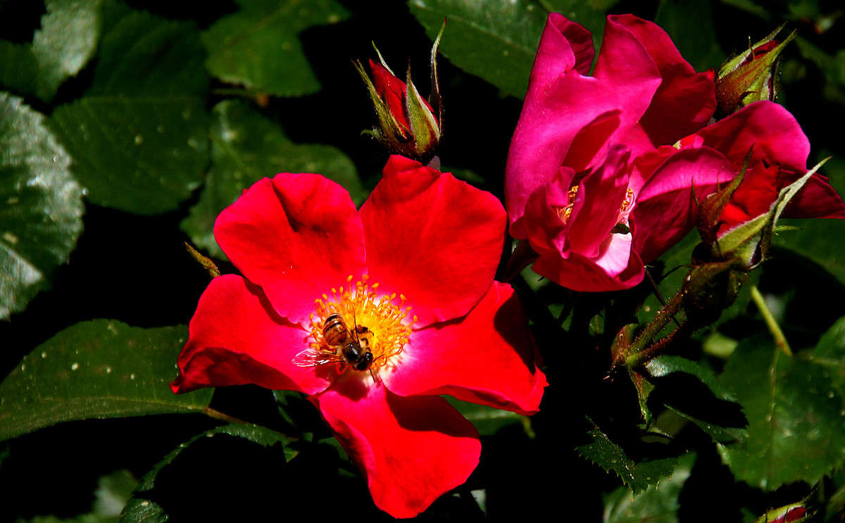 ������� ����� ����� �������  �� PhotoGeek.ru #������ ��� �������